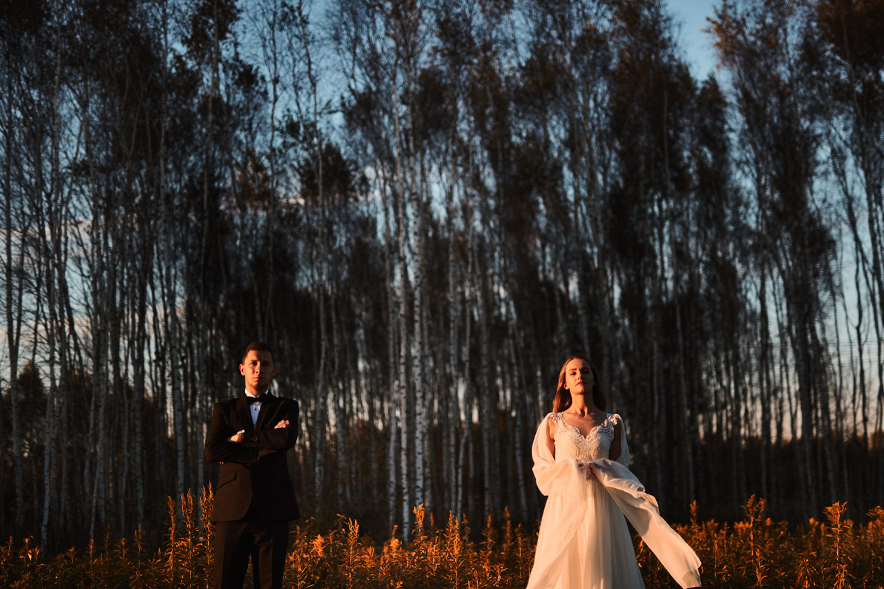 Sesja trees wedding
